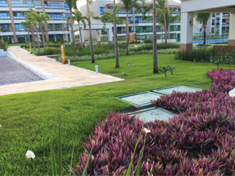 garden-service-paisagismo-jardinagem-jardim-cuidado-manutencao-irrigacao-wai-wai-4
